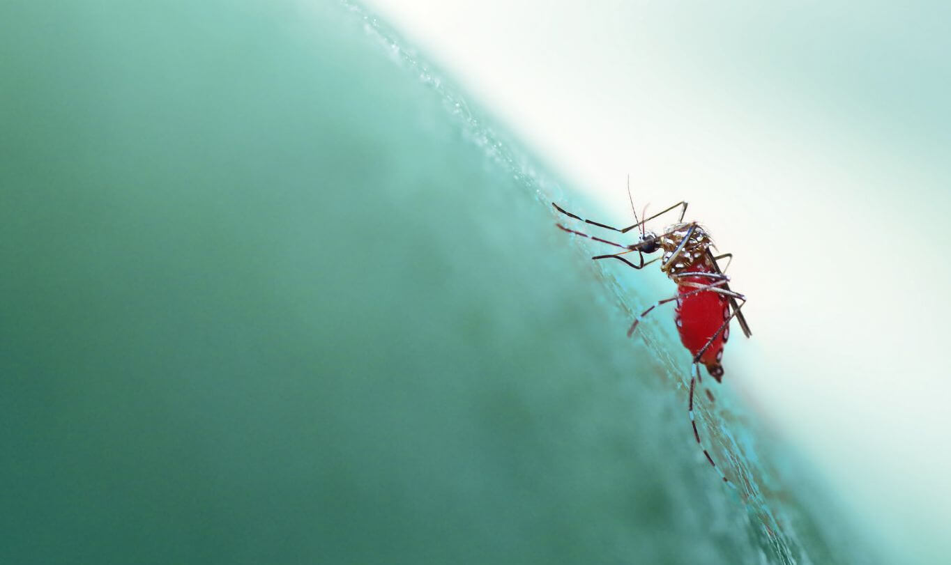 Учёные придумали быстрый и недорогой способ секвенирования генома.. Фото.