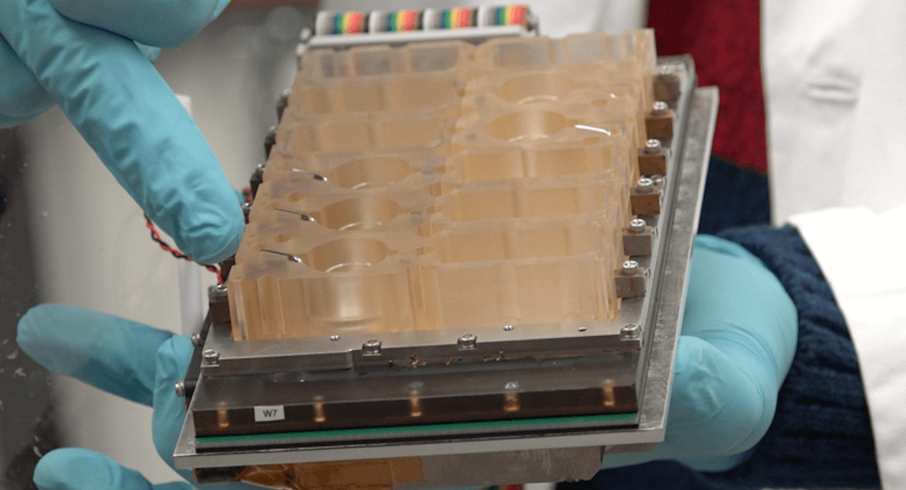 Ученые создали модель женской репродуктивной системы «на чипе».. Фото.