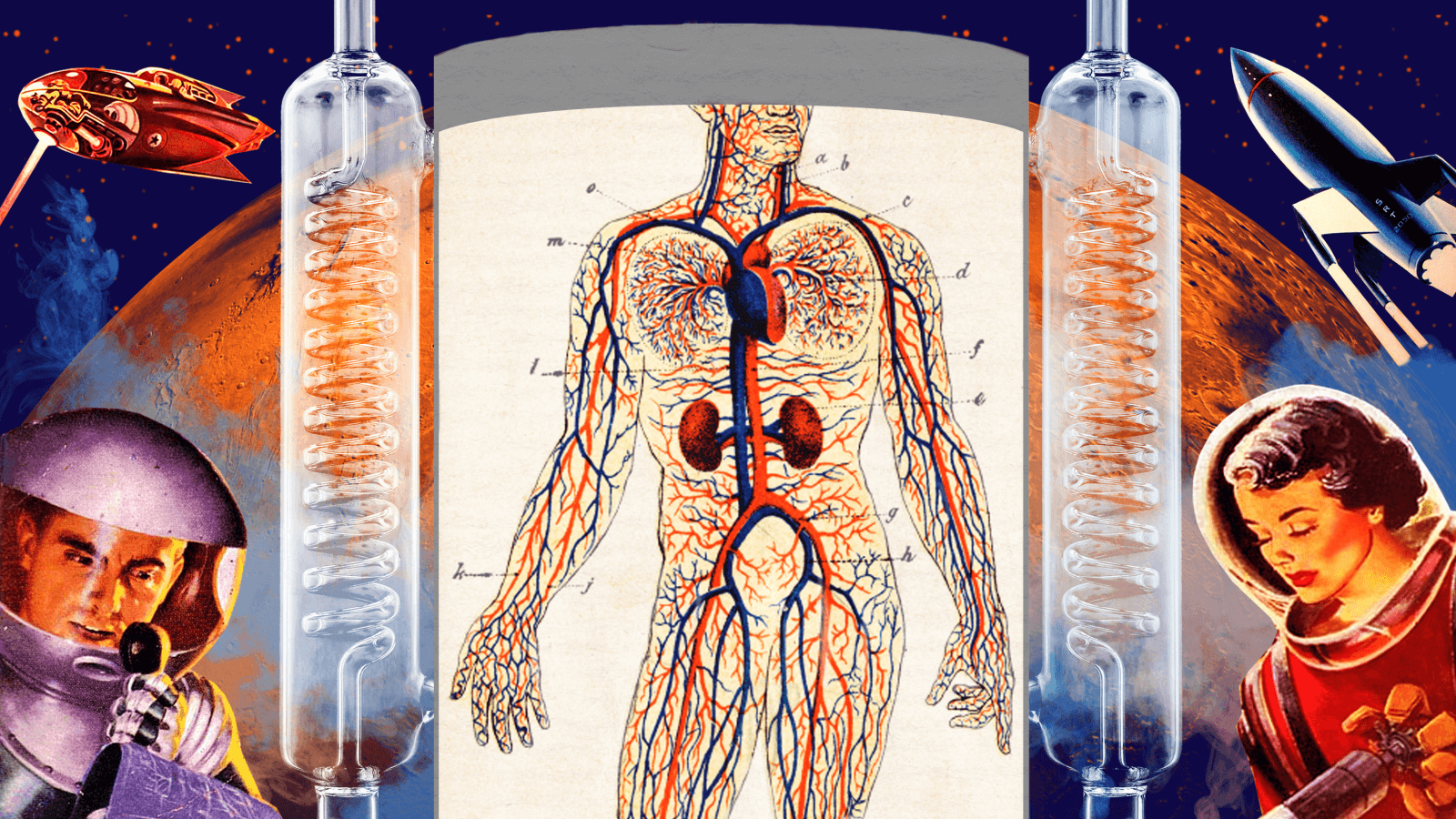 Каким будет человек, когда станет в космосе своим? Фото.