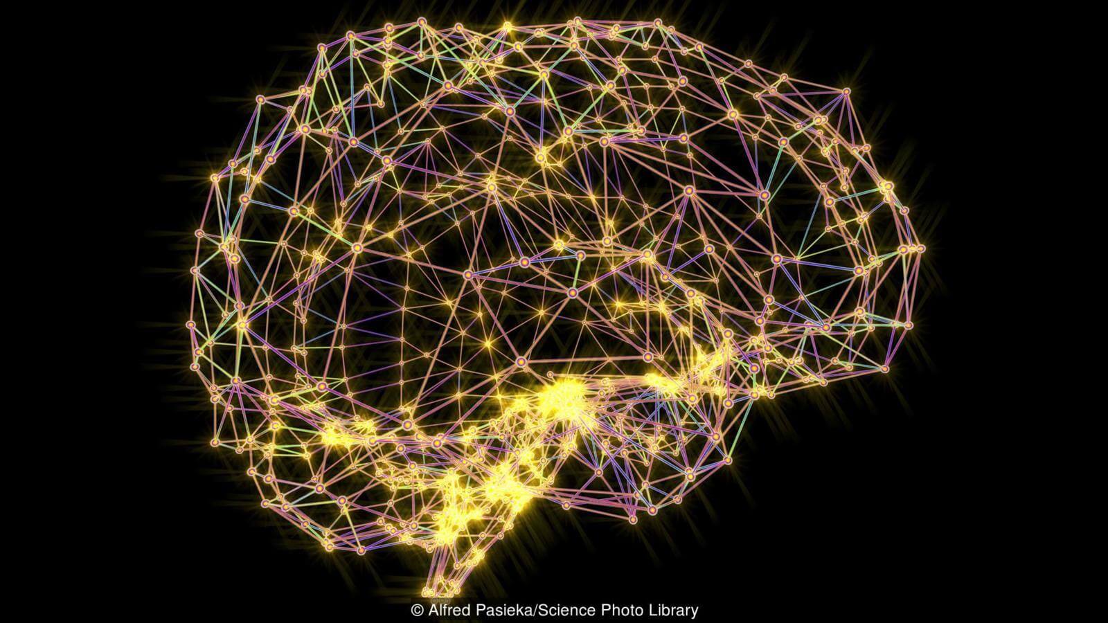 Мозг человека очень сложен. Фото.