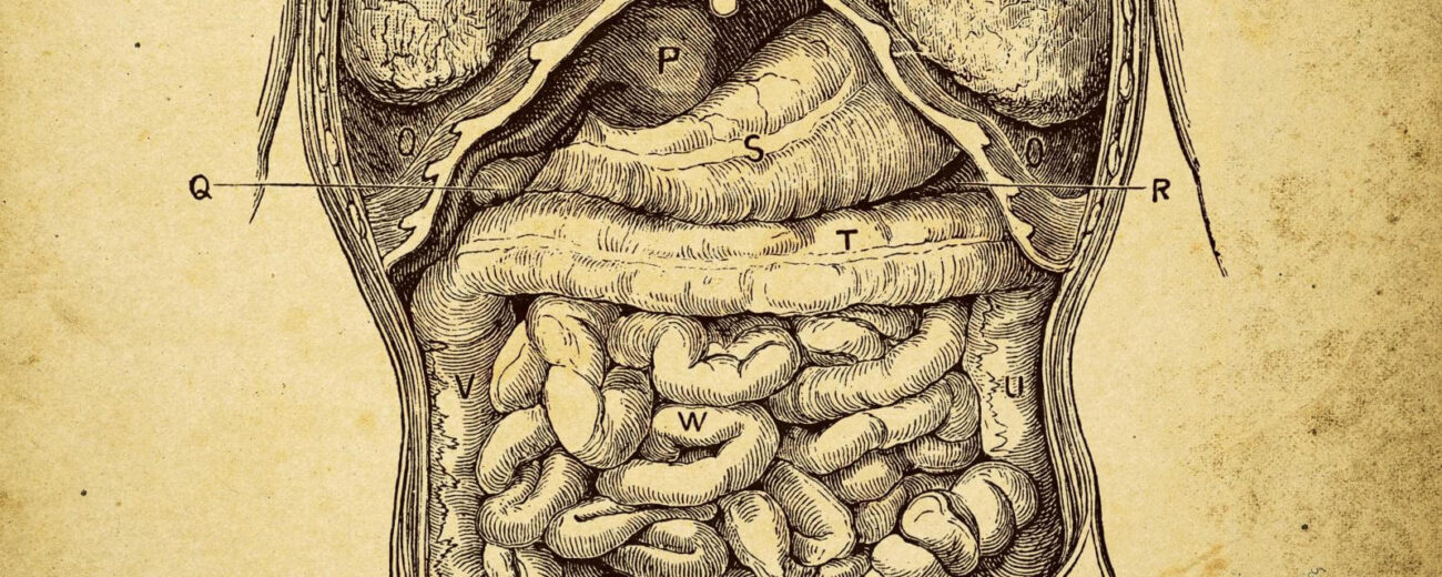 Микробы вашего тела, без которых вы не можете жить.. Фото.