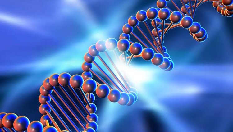 Учёные доказали возможность создания компьютеров на основе ДНК. Фото.