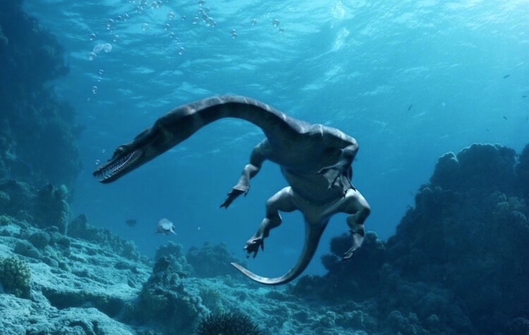 Крокодильи глаза. Наши предки могли быть и такими. Ну почти…. Фото.