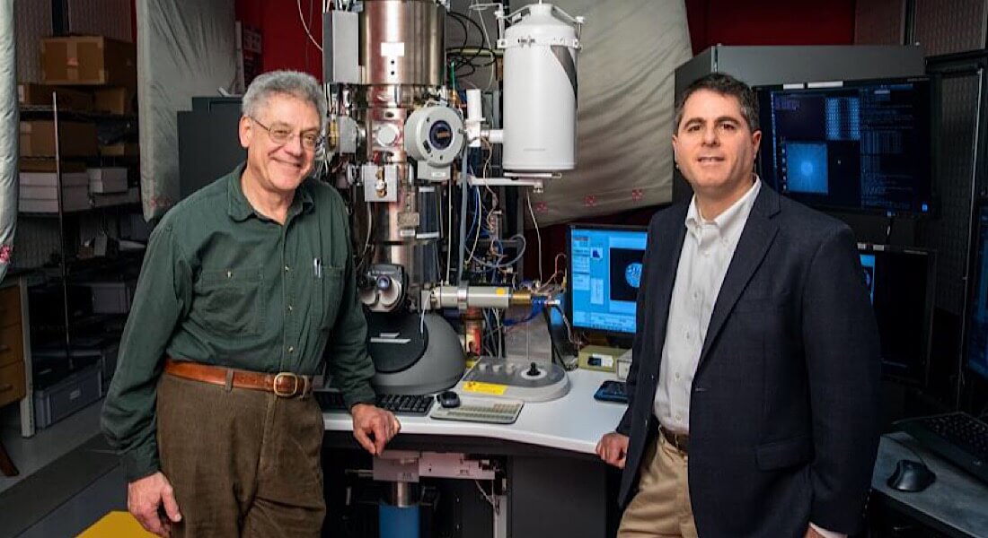 Электронные микроскопы смогут показать не только фото, но и рассказать о составе образца. Электронные микроскопы смогут показать не только фото, но и рассказать о составе образца. Фото.