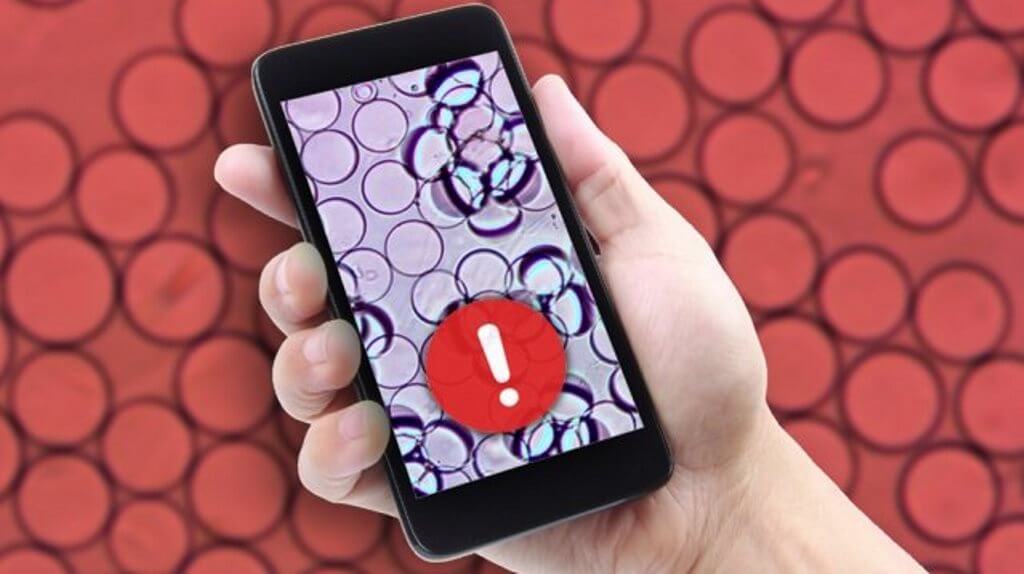 В MIT разработали простой тест для определения качества продуктов. Фото.