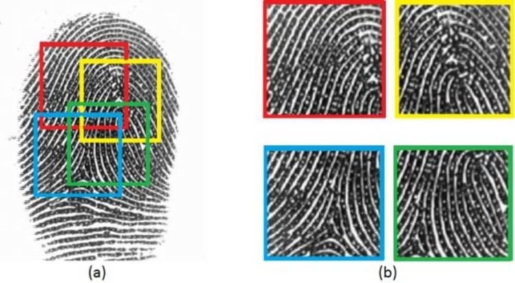 Создано изображение «универсального отпечатка пальца», способное обмануть большинство сенсоров. Фото.