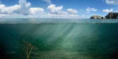 Deep Green — подводный робот-бабочка, «летающий» в воде для выработки энергии. Фото.