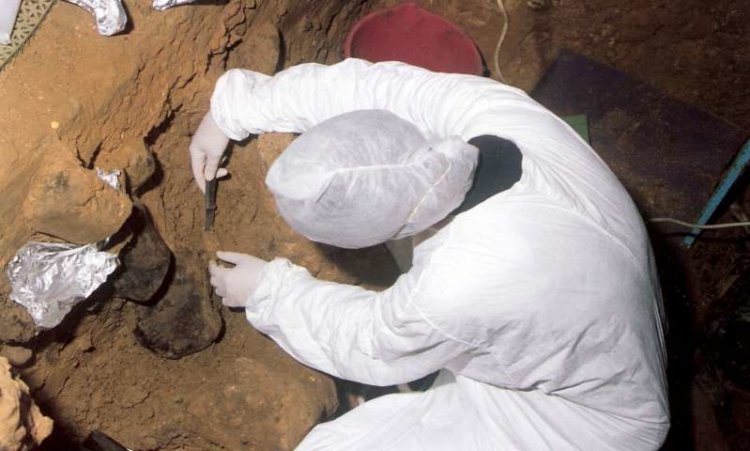 Археологи смогли обнаружить ДНК наших предков в осадочных породах. Фото.
