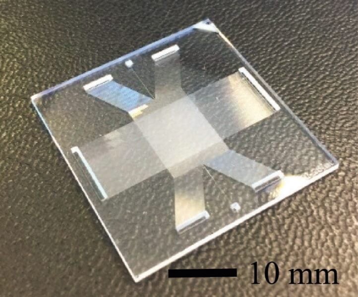 Представлен микрочип, который может разделить ДНК и очистить ее фрагменты. Фото.