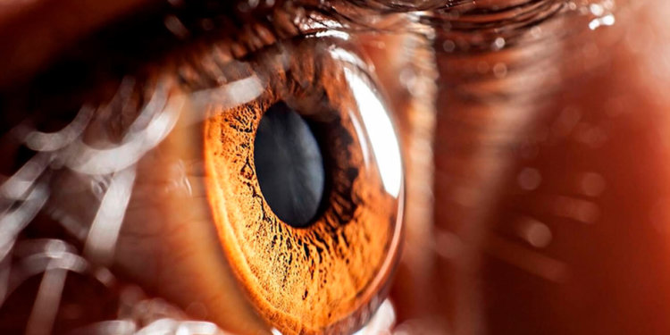 Глазной робот-хирург прошёл клинические испытания. Фото.