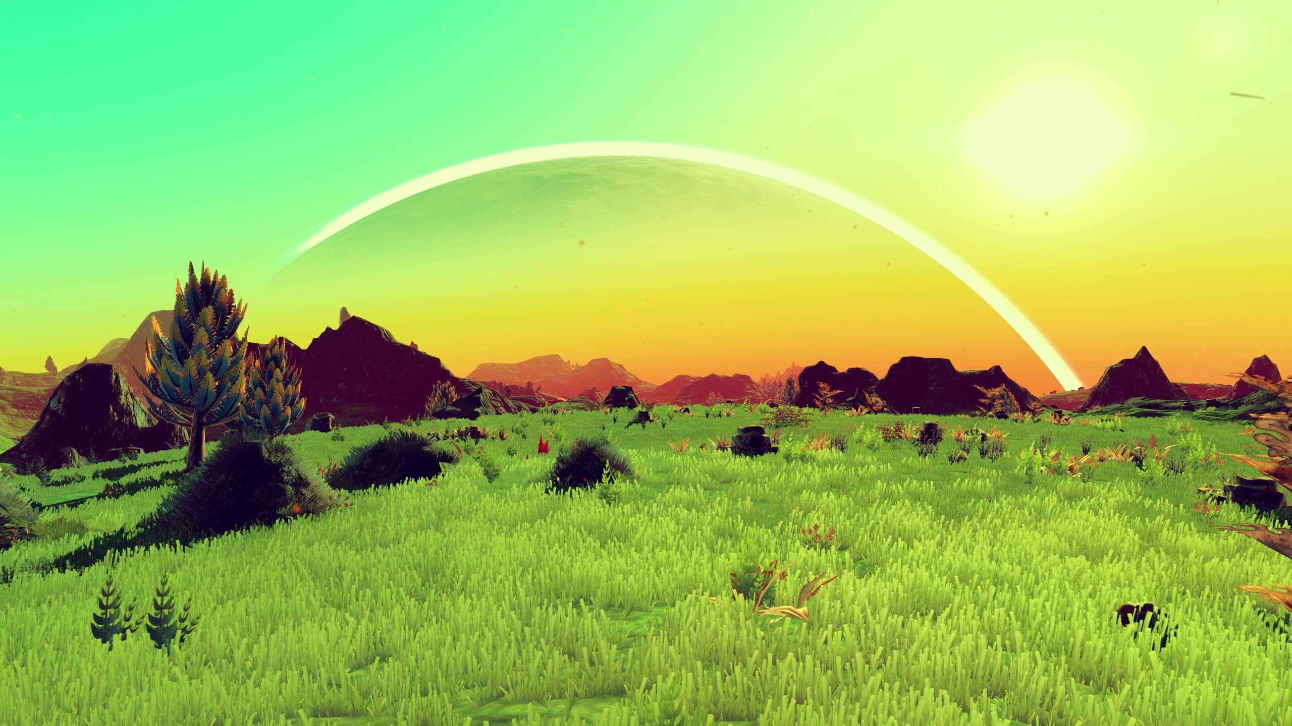 Чтобы создать эту игру, разработчик продал свой дом. Фото.