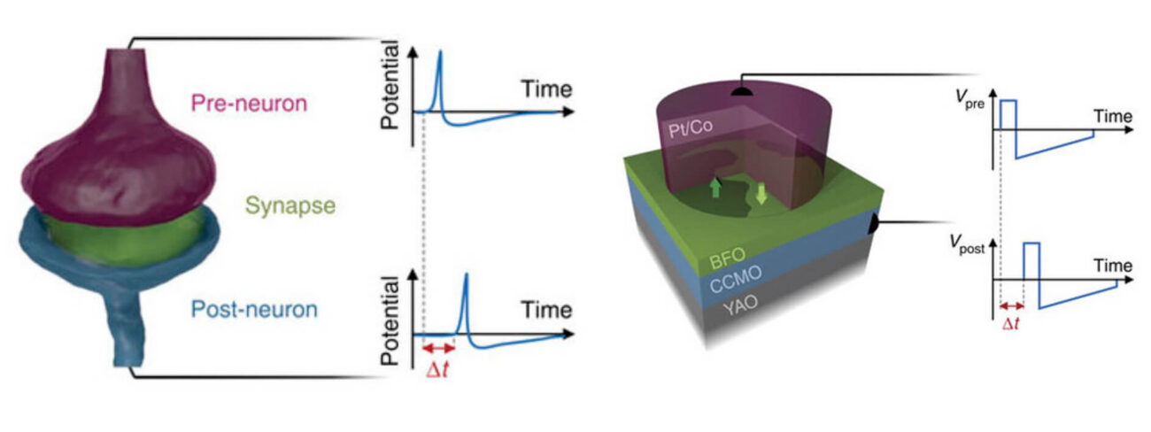 Создан искусственный синапс, который может стать компонентом электронного мозга.. Фото.