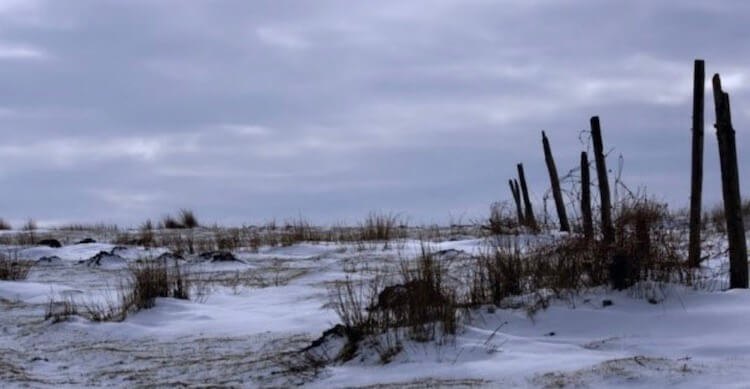 Мы не сможем вырастить еду. Фото.