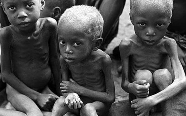 Миллиарды людей будут голодать. Люди будут голодать. Фото.