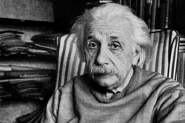 В этом уставшем взгляде скрыто многое. Фото.