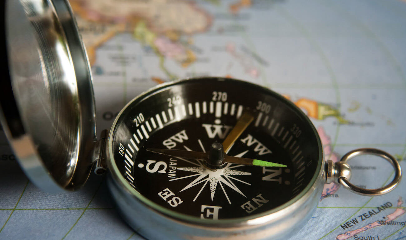 Обнаружены гены, отвечающие за чувствительность к магнитному полю Земли. Фото.