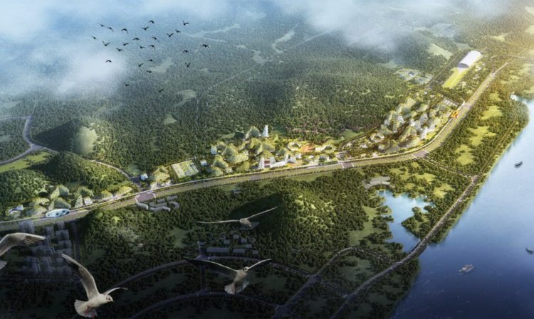 Китай начал строительство первого в мире «Лесного города». Фото.