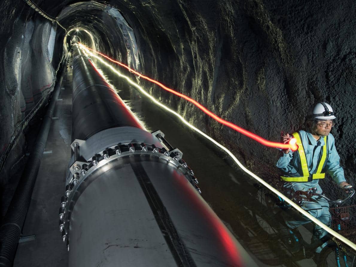 Что делает гения гением? Эволюция приводит к большим открытиям. Главное, чтобы на пути были гении. Фото.