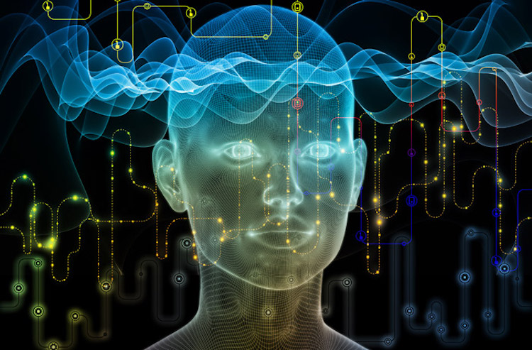 Интеллект — наше все! Фото.