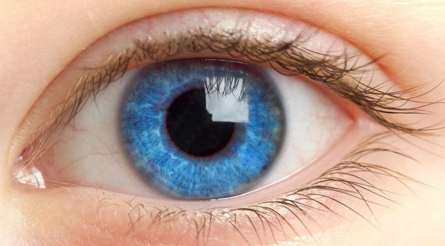 Финские учёные создали искусственную радужную оболочку глаза. Фото.