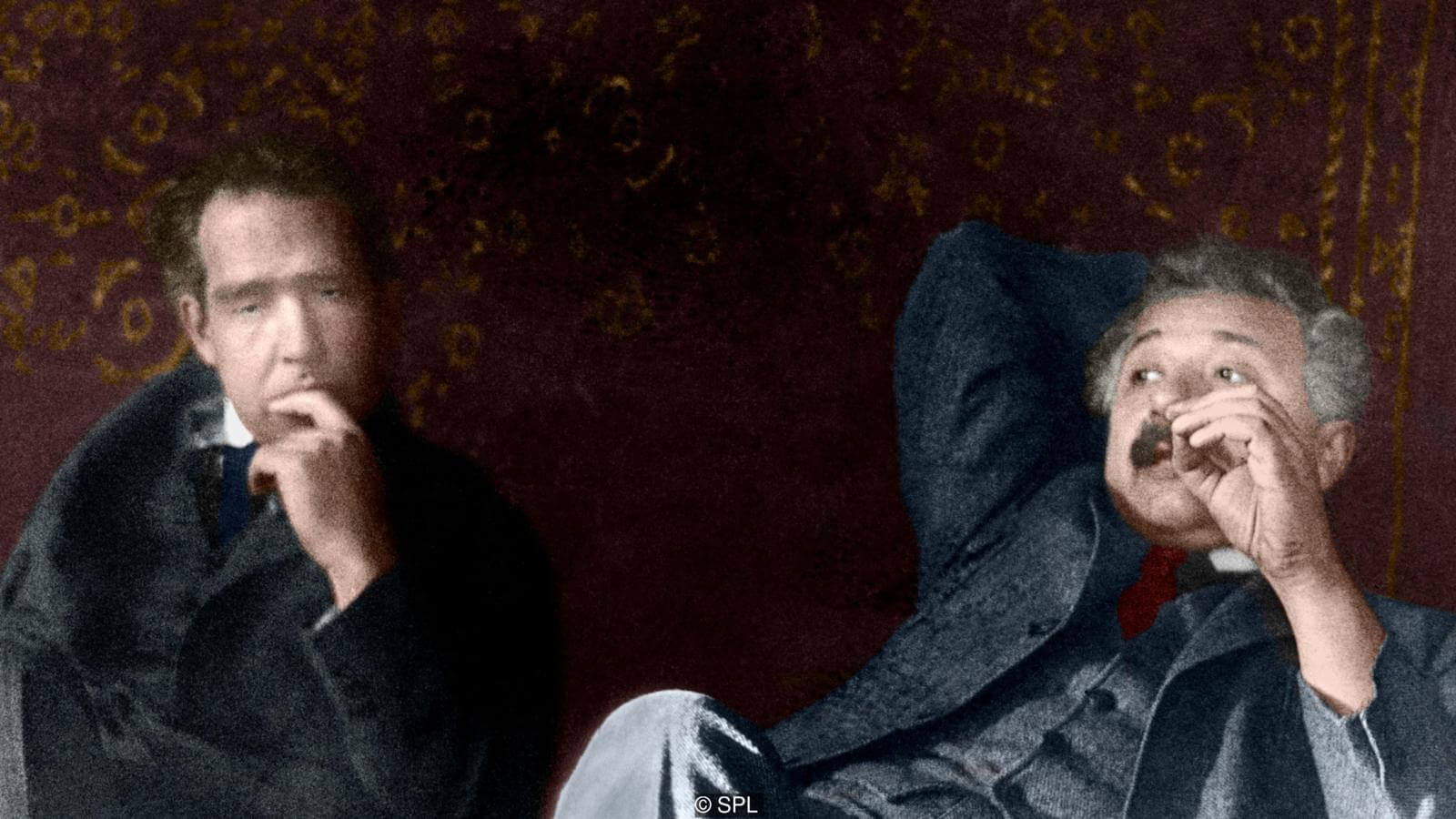 Может, здоровый сон и есть причина гениальности. Фото.