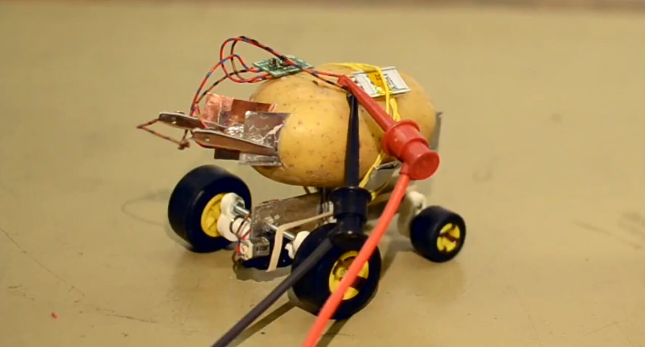 #видео | Житель Польши построил самоуправляемого робота из картофелины