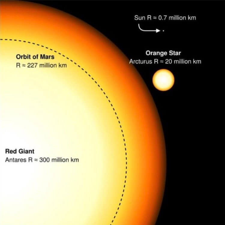 Почему звезды разных размеров? Ответ не так прост, как кажется. Солнце пока относительно небольшое в сравнении с гигантами, но разрастется до размеров Арктура в своей фазе красного гиганта. Фото.