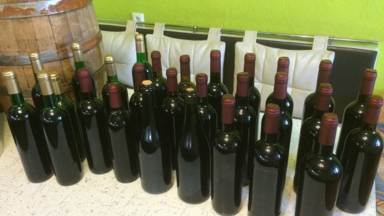 Австралийский ИИ займётся производством вина. Фото.