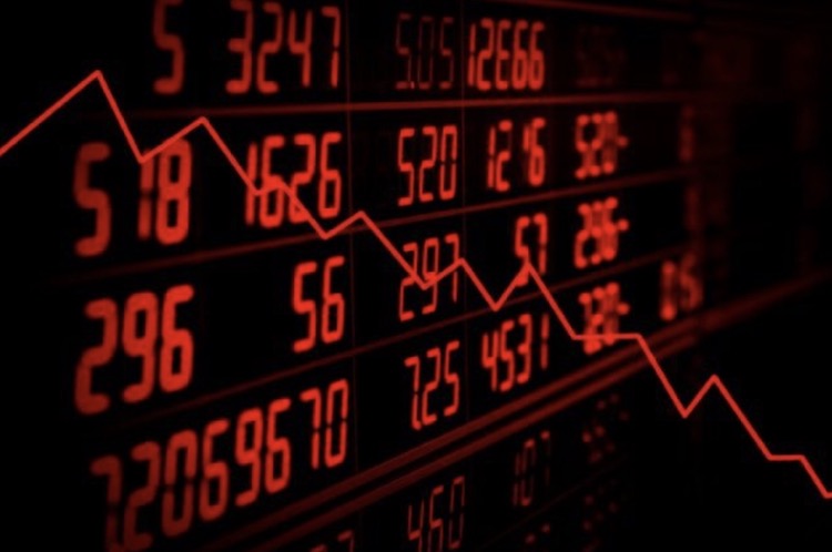 Пчелы могут угрожать мировой экономике. Фото.