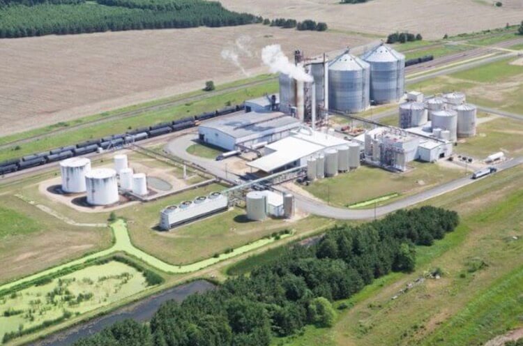 Биотопливо не так популярно, но его тоже не будет. Фото.