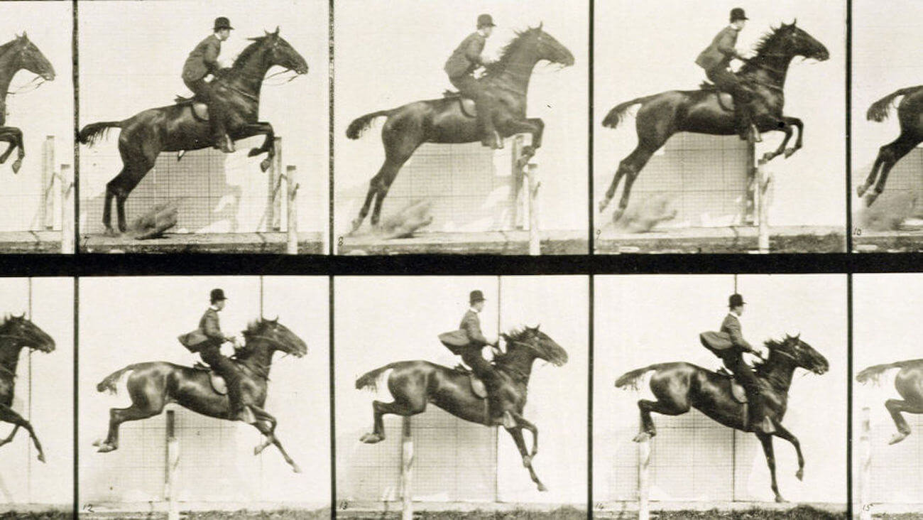 Ученые впервые записали в ДНК мультфильм.. Фото.