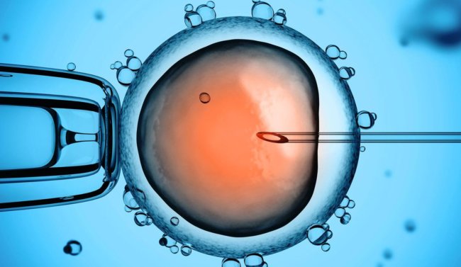 В США впервые отредактировали гены человеческих эмбрионов. Фото.