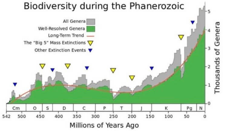 Когда нас ждет массовое вымирание? Измерение биоразнообразия, а также изменения в количестве родов, в определенный момент времени, выявляющие большинство крупных событий вымирания за последние 500 миллионов лет. Фото.