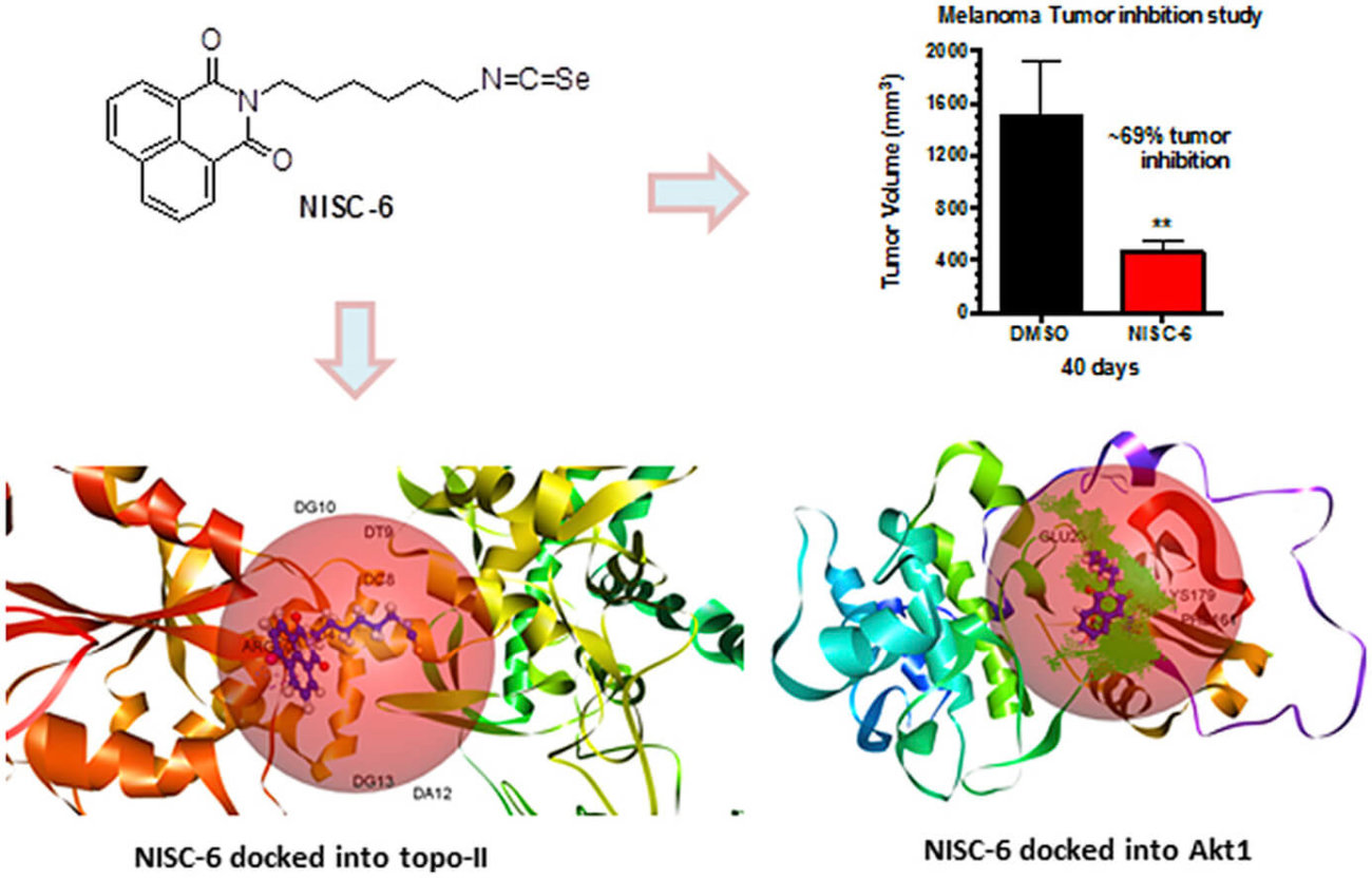 Победить меланому поможет… брокколи. Фото.