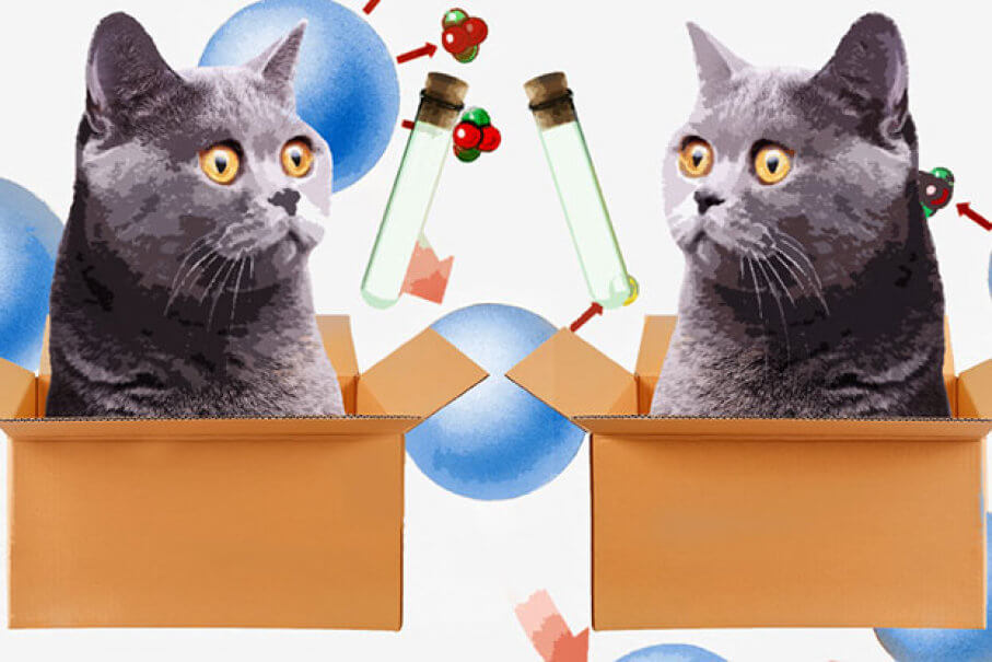 Существование такого удивительно. Фото.