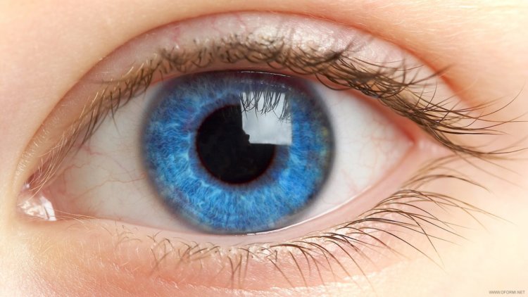 Российские учёные впервые вживили «бионический глаз» пациенту. Фото.
