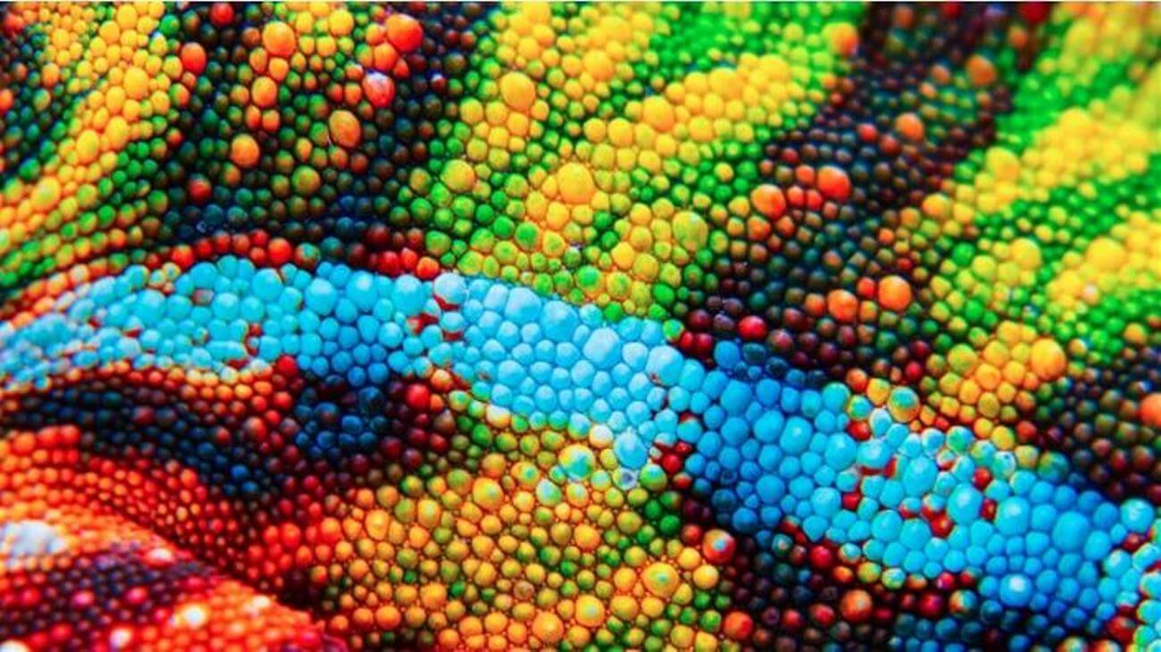 В Китае создали искусственную электронную «кожу», изменяющую цвет. Фото.