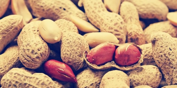 Австралийские ученые нашли способ избавиться от аллергии на арахис. Фото.