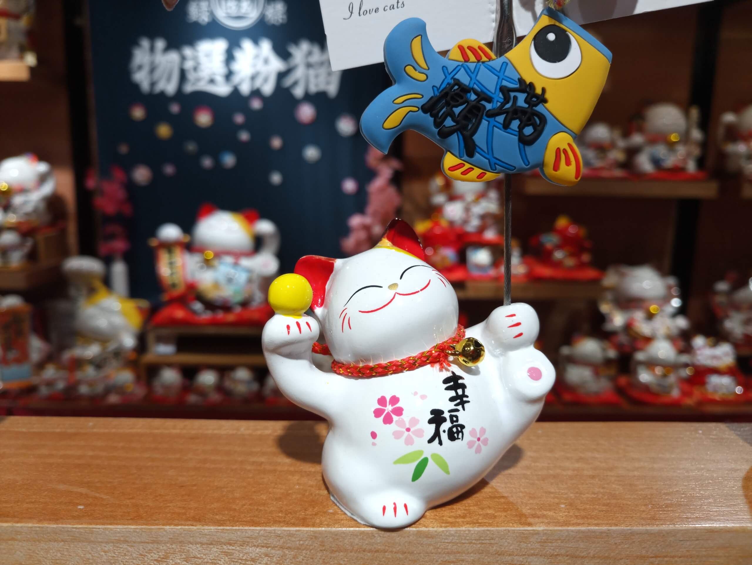 Цените хорошую камеру в смартфоне? Тогда Elephone P8 для вас.. Фото.