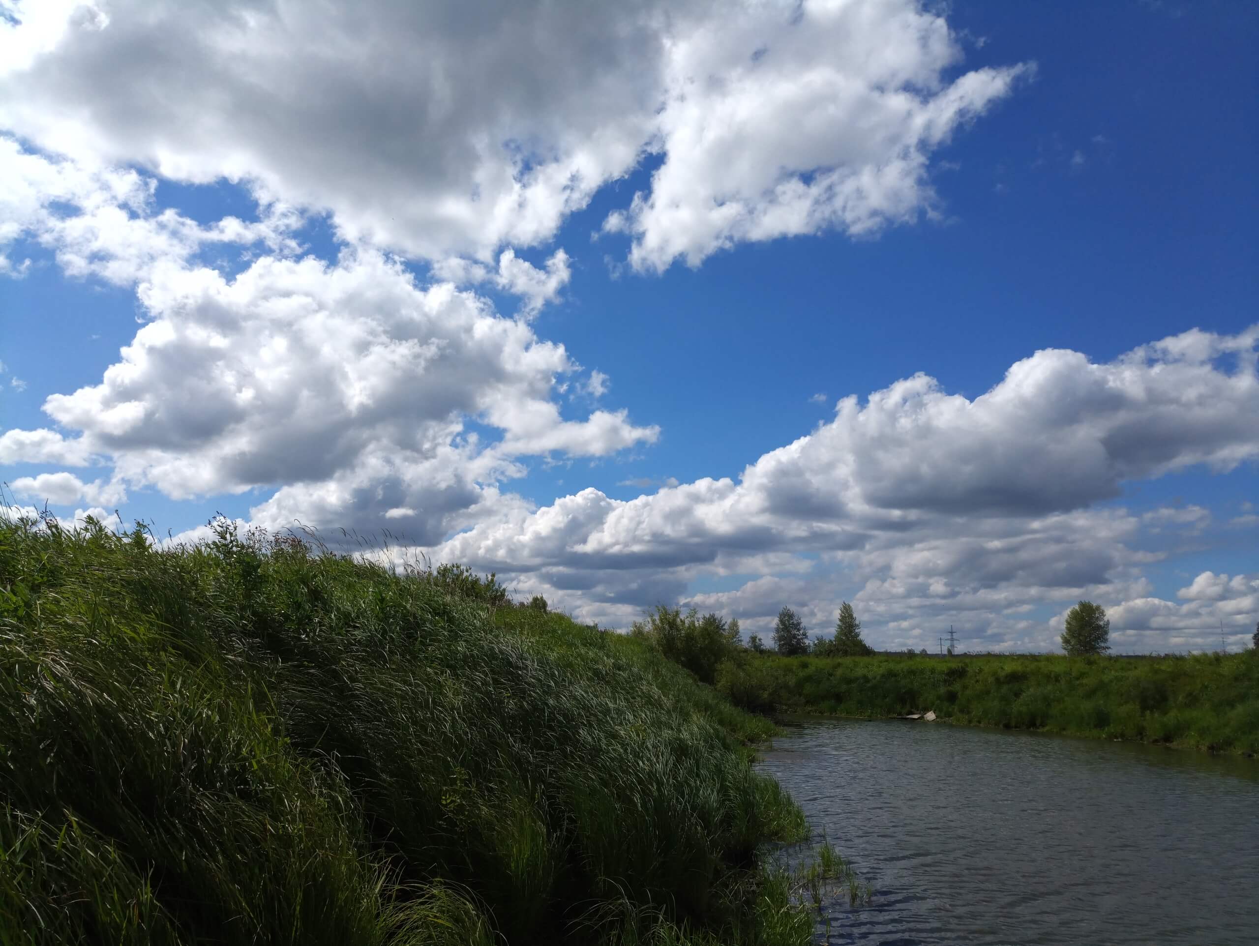 Цените хорошую камеру в смартфоне? Тогда Elephone P8 для вас.. Фото.