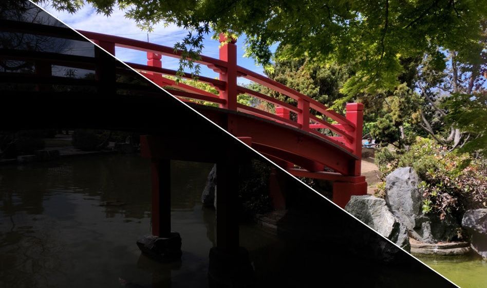 MIT и Google научат смартфоны редактировать фото в реальном времени. Фото.