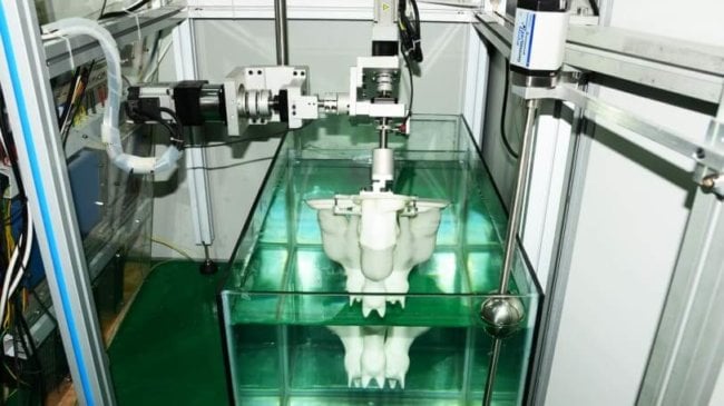 Израильские учёные превратили аквариум с водой в 3D-сканер. Фото.