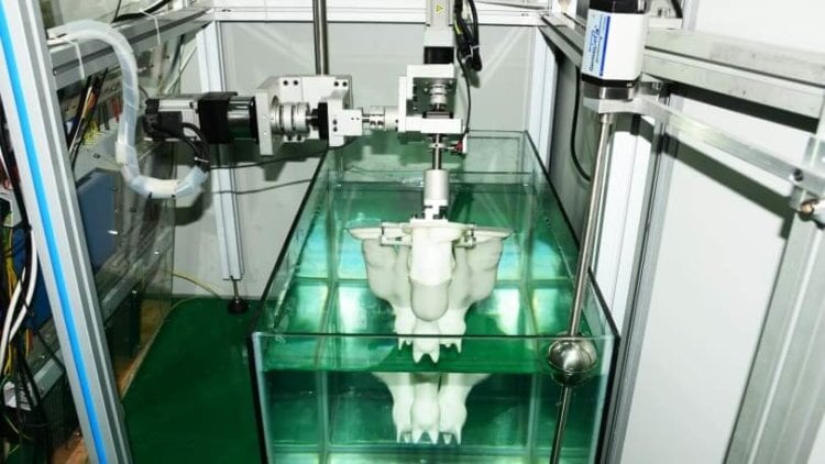 Израильские учёные превратили аквариум с водой в 3D-сканер. Фото.