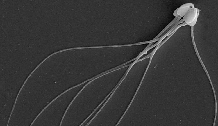 Да уж…. Фото.