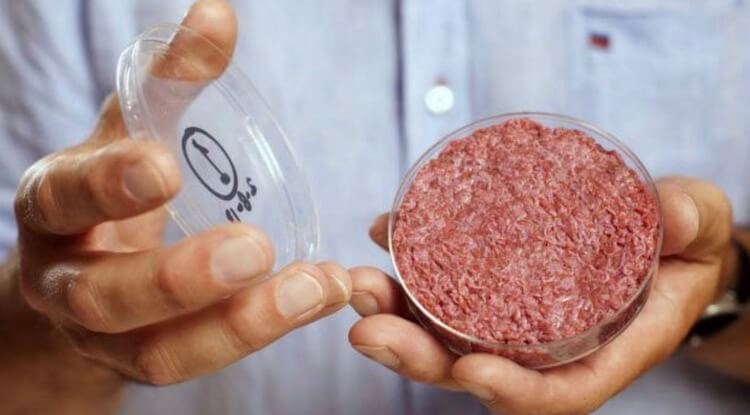 Гамбургеры тоже выращивали в лаборатории. Фото.