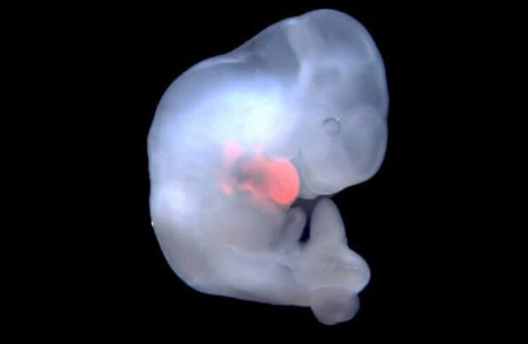 Это вообще законно? Фото.