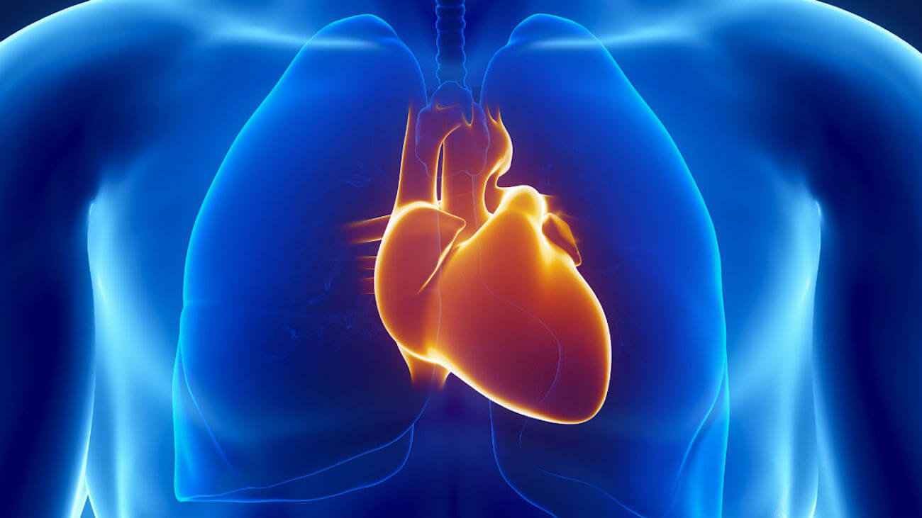 «Заплатки» для сердца будут печатать на 3D-принтере. Фото.