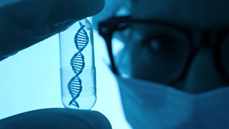 Ученые впервые «отключили» ген в эмбрионе человека. Фото.