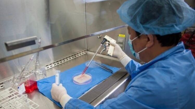 10 удивительных вещей, выращенных в лаборатории.. Влагалища.. Фото.