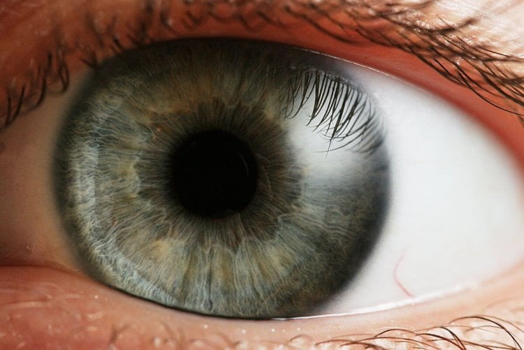 Разработан метод создания живой сетчатки глаза при помощи 3D-печати. Фото.